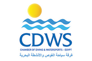 CDWS